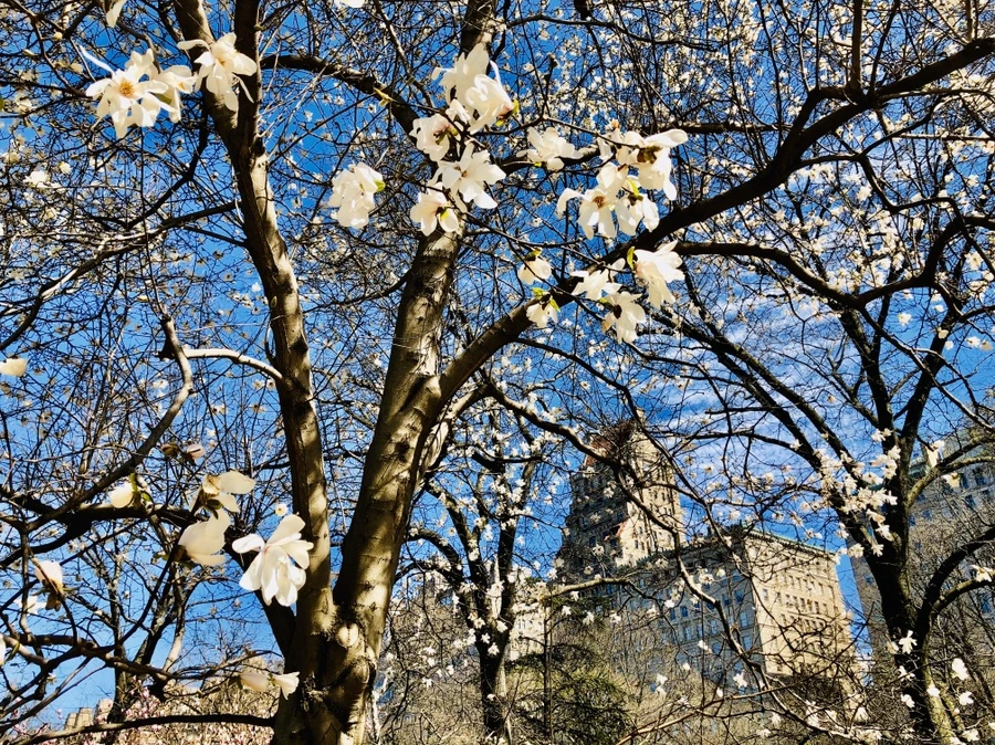 IMG_6613.jpg?type=w966