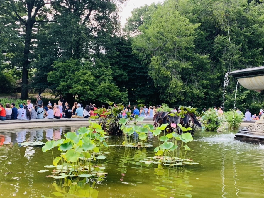 IMG_0636.jpg?type=w966