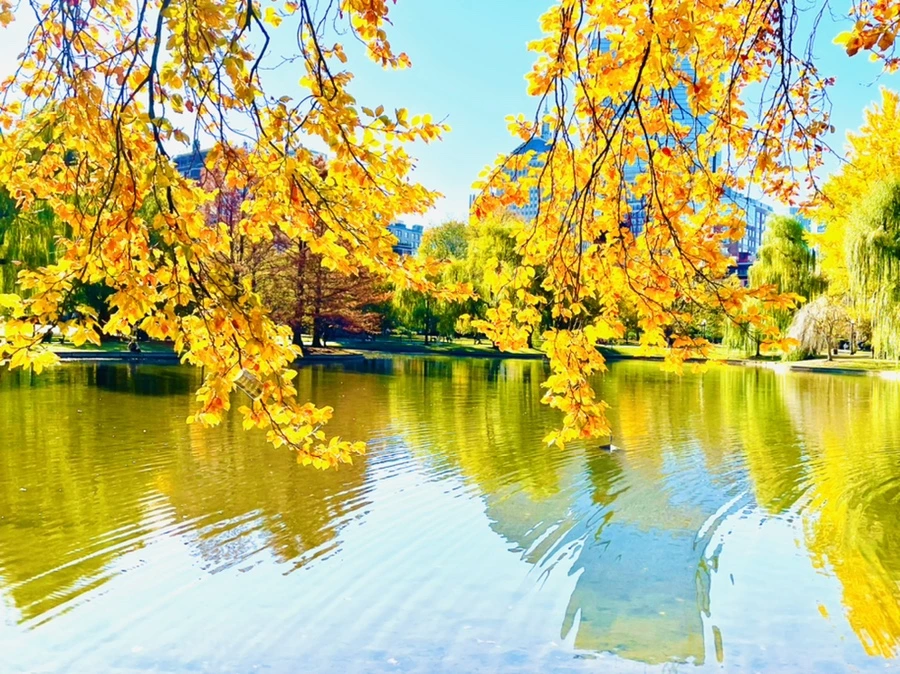 IMG_2564.jpg?type=w966