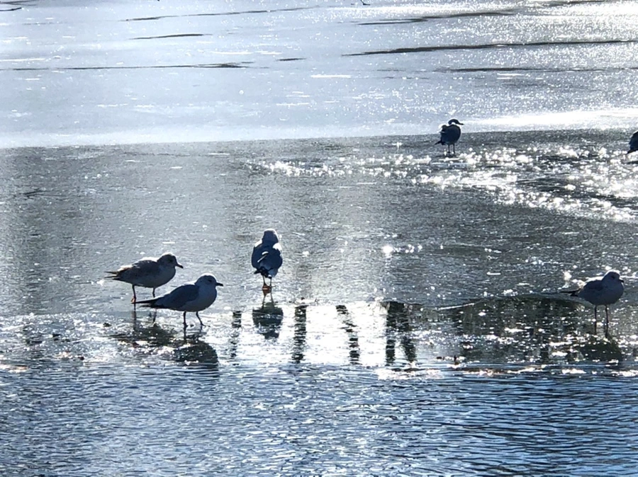 IMG_6867.jpg?type=w966