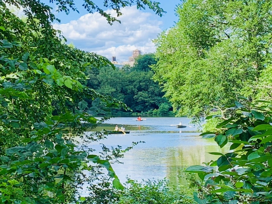 IMG_6400.jpg?type=w966