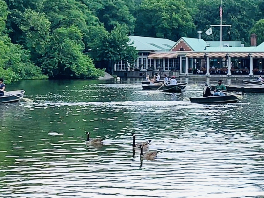 IMG_1685.jpg?type=w966