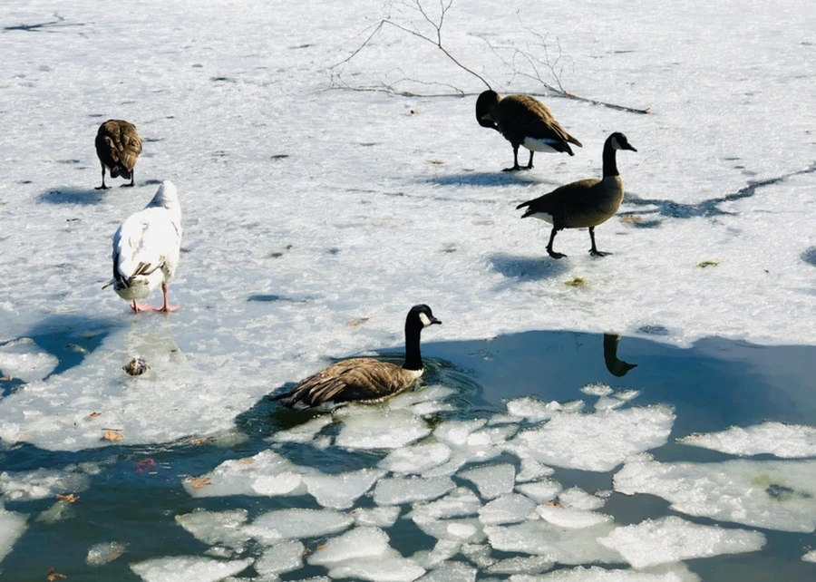 IMG_5442.jpg?type=w966