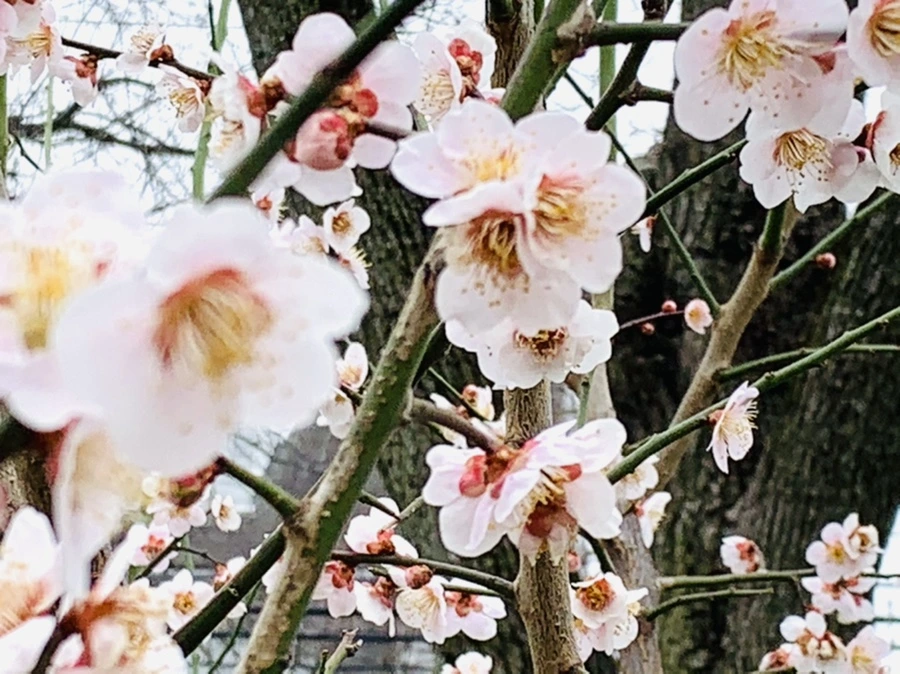 IMG_3679.jpg?type=w966