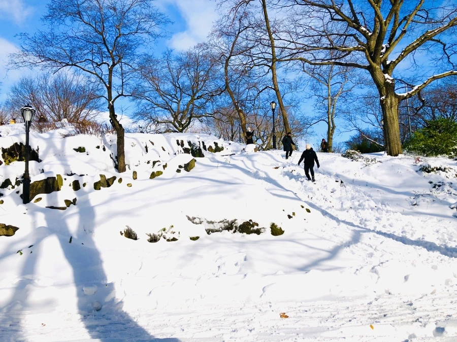 IMG_7040.jpg?type=w966