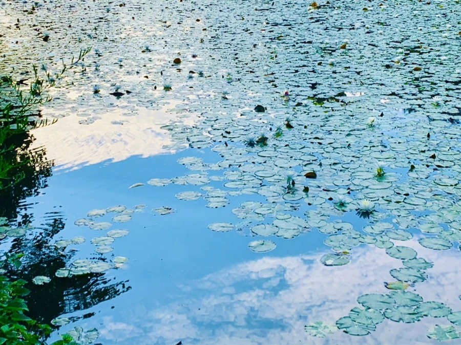 IMG_1546.jpg?type=w966