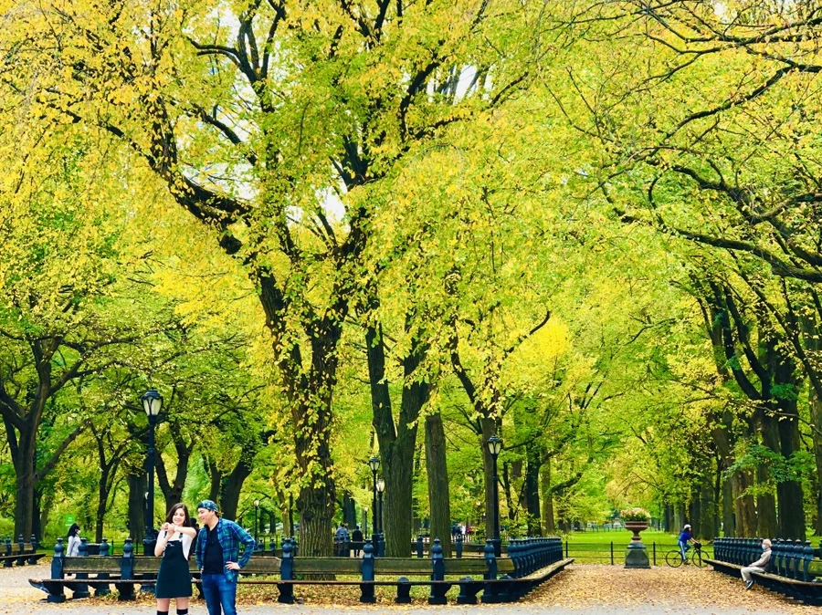 IMG_3030.jpg?type=w966