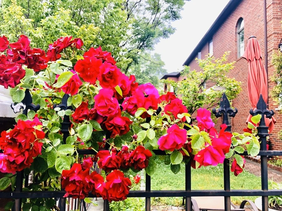 9OyXs9pZGZxOPx4vx3x7jfHyogc