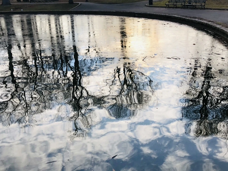 IMG_0165.jpg?type=w966