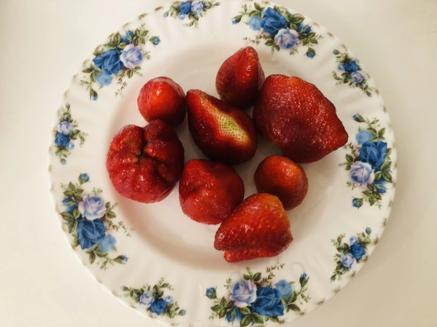 IMG_0142.jpg?type=w966