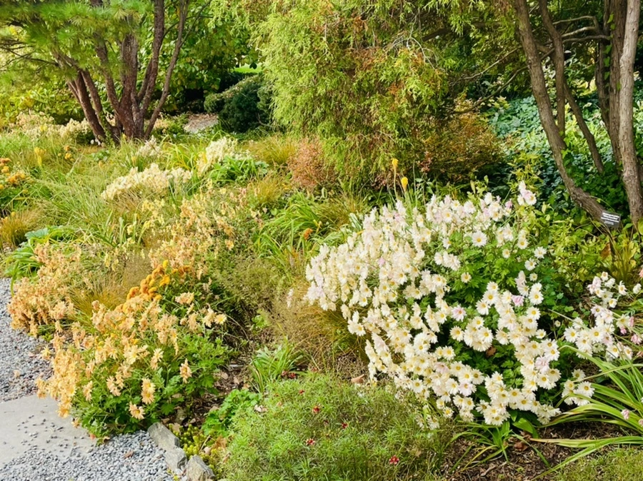 IMG_2393.jpg?type=w966