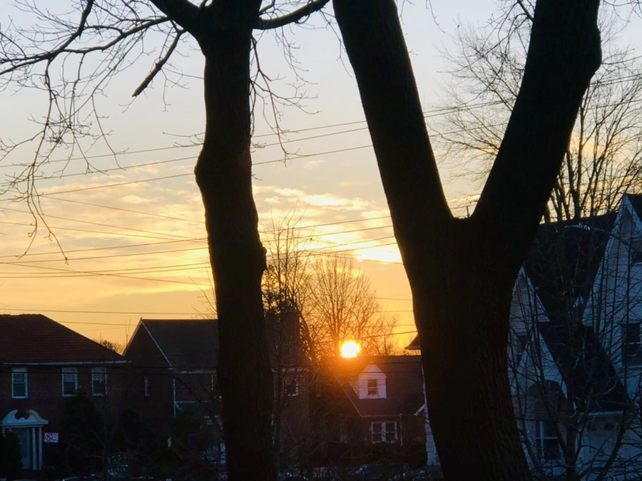 IMG_4628.jpg?type=w966