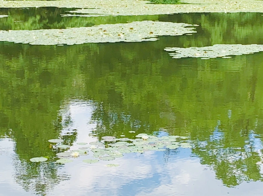 IMG_0743.jpg?type=w966