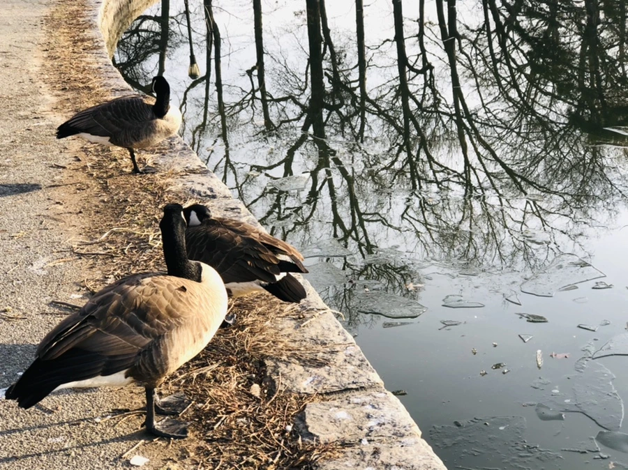 IMG_2533.jpg?type=w966