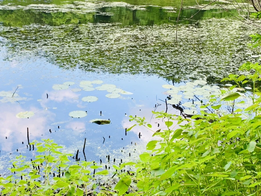 IMG_7538.jpg?type=w966