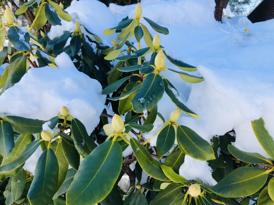 IMG_1393.jpg?type=w966