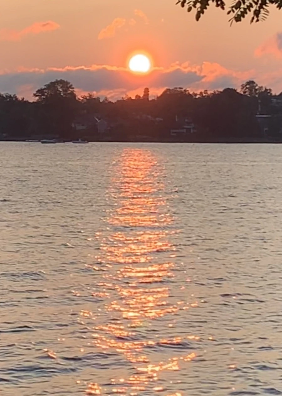 IMG_5480.jpg?type=w966