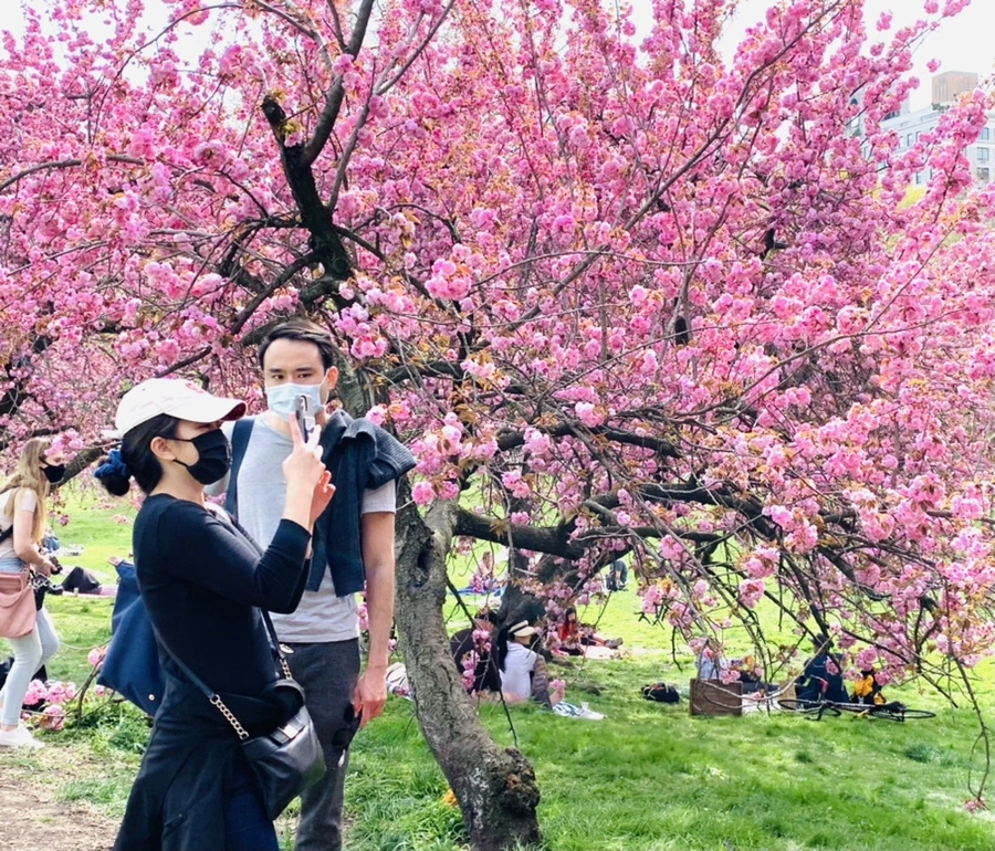 IMG_5189.jpg?type=w966