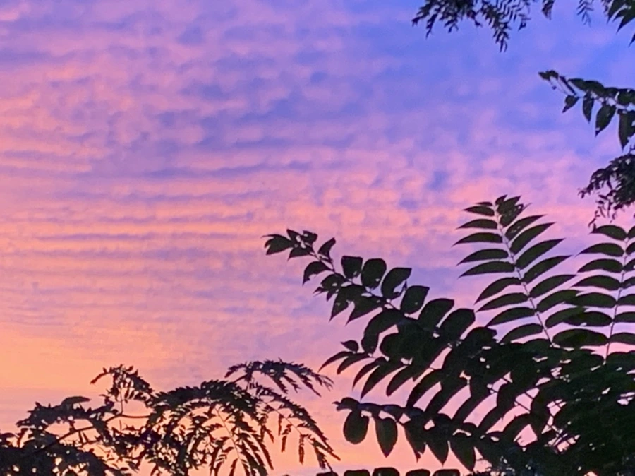 IMG_5842.jpg?type=w966