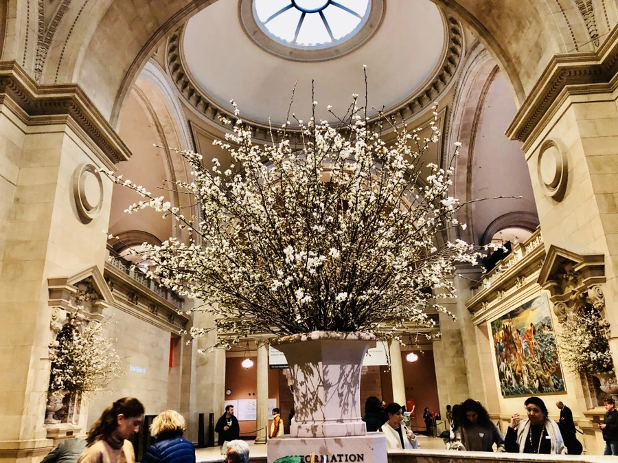 IMG_6155.jpg?type=w966