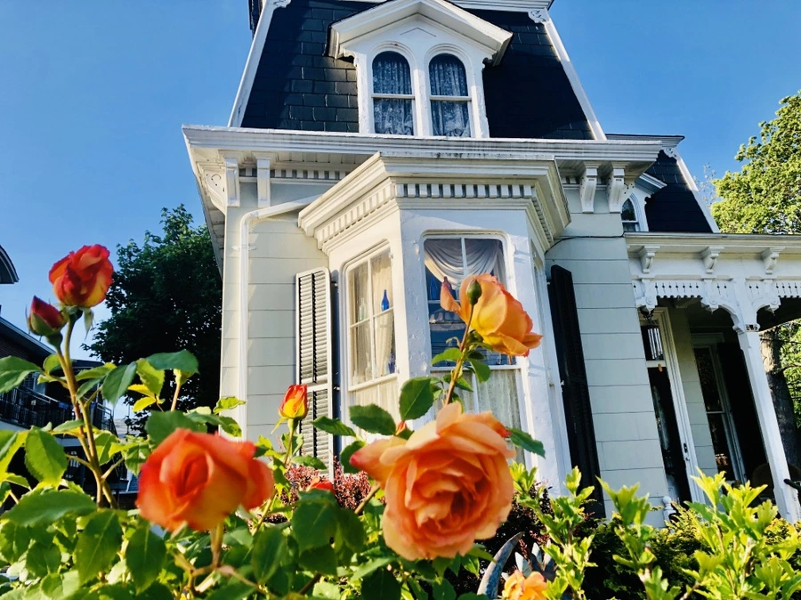 IMG_7405.jpg?type=w966