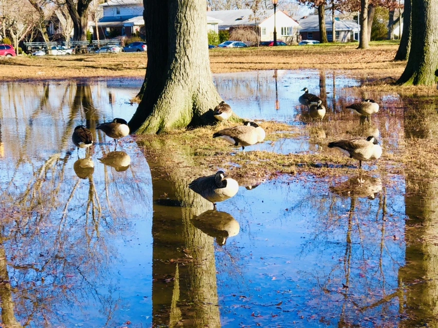 IMG_9784.jpg?type=w966