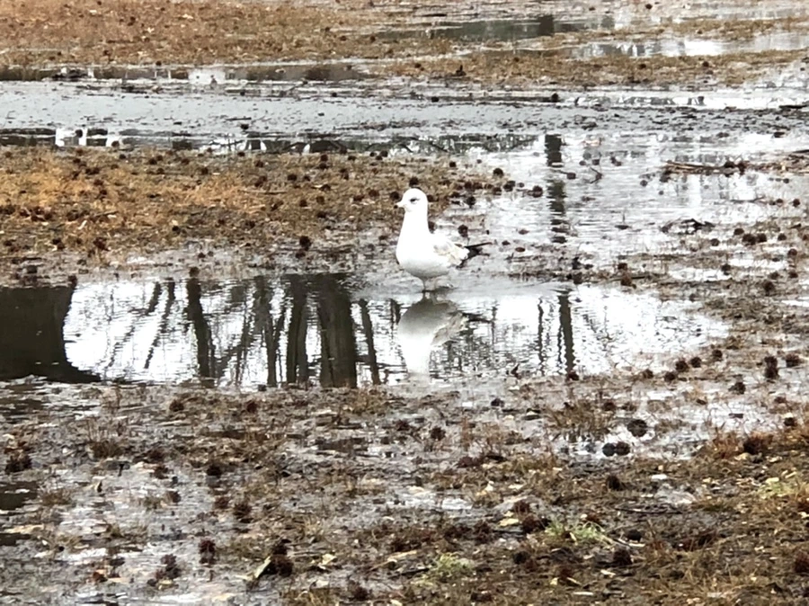 IMG_5690.jpg?type=w966