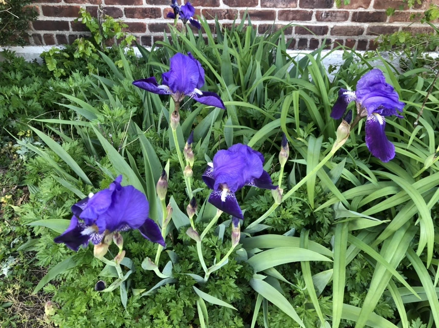 IMG_3857.jpg?type=w966