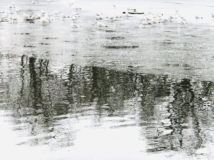 IMG_6380.jpg?type=w966