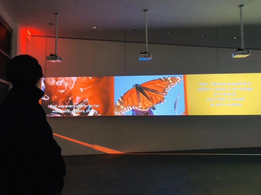 IMG_4282.jpg?type=w966