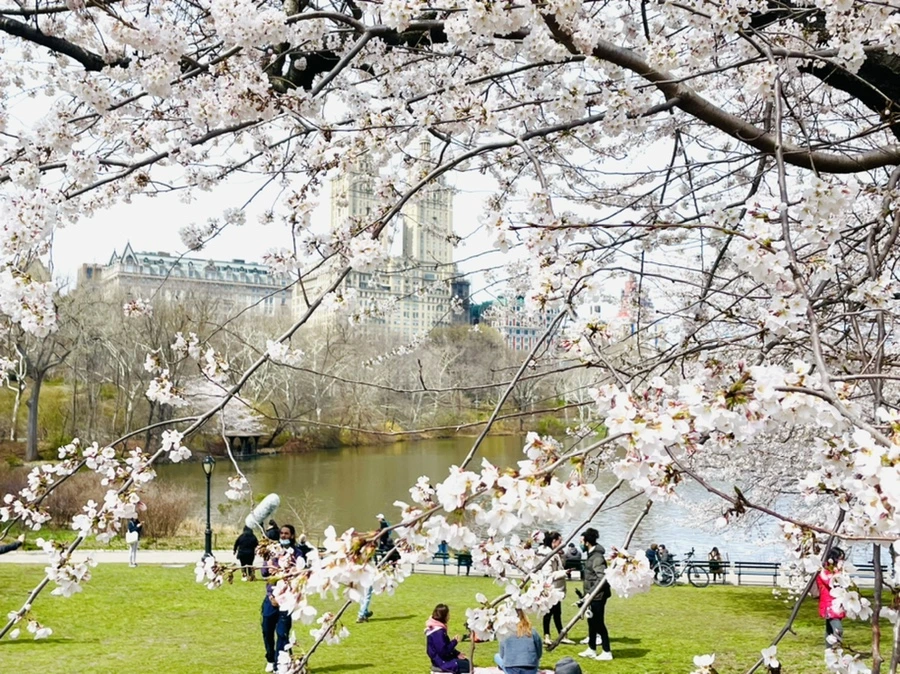 IMG_8832.jpg?type=w966