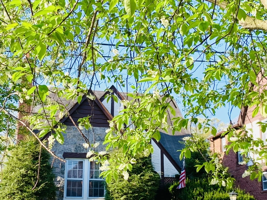 IMG_5059.jpg?type=w966