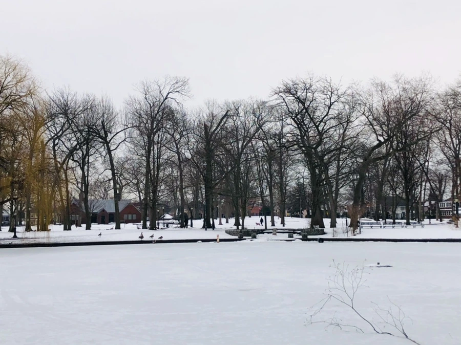 IMG_4434.jpg?type=w966