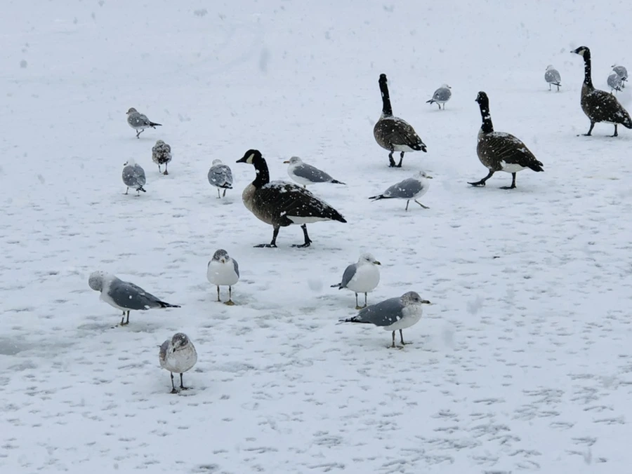 IMG_4208.jpg?type=w966