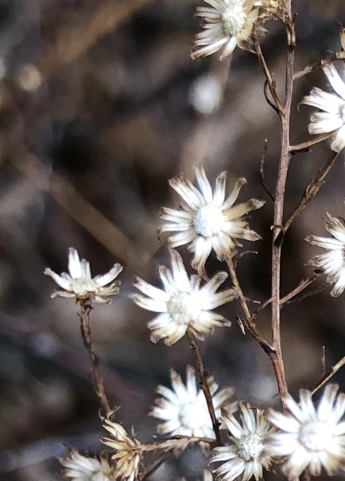 IMG_6502.jpg?type=w966