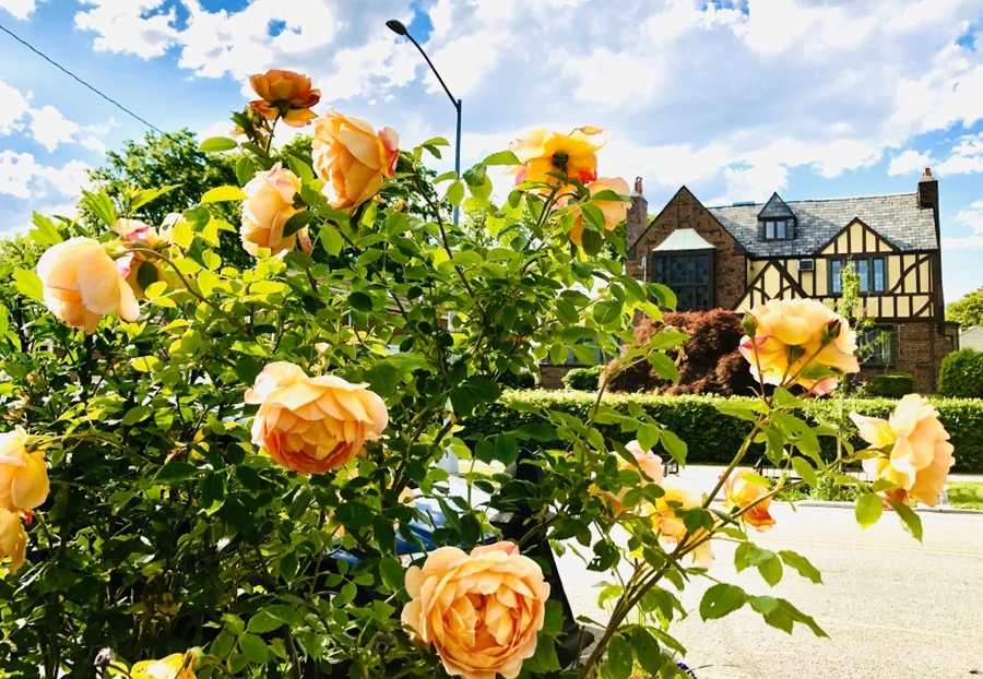 IMG_7668.jpg?type=w966