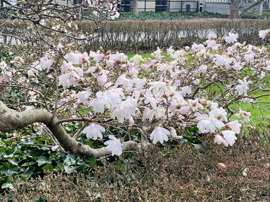 IMG_6486.jpg?type=w966