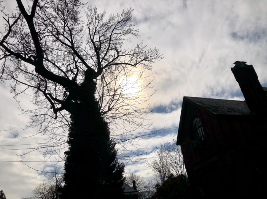 IMG_3018.jpg?type=w966