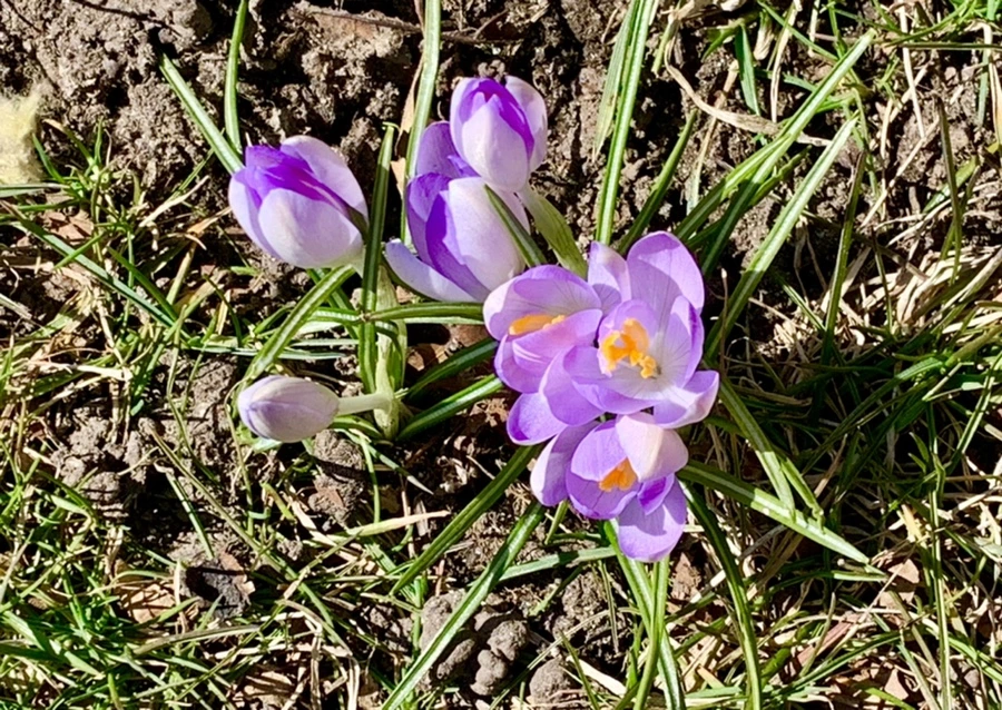 IMG_8219.jpg?type=w966