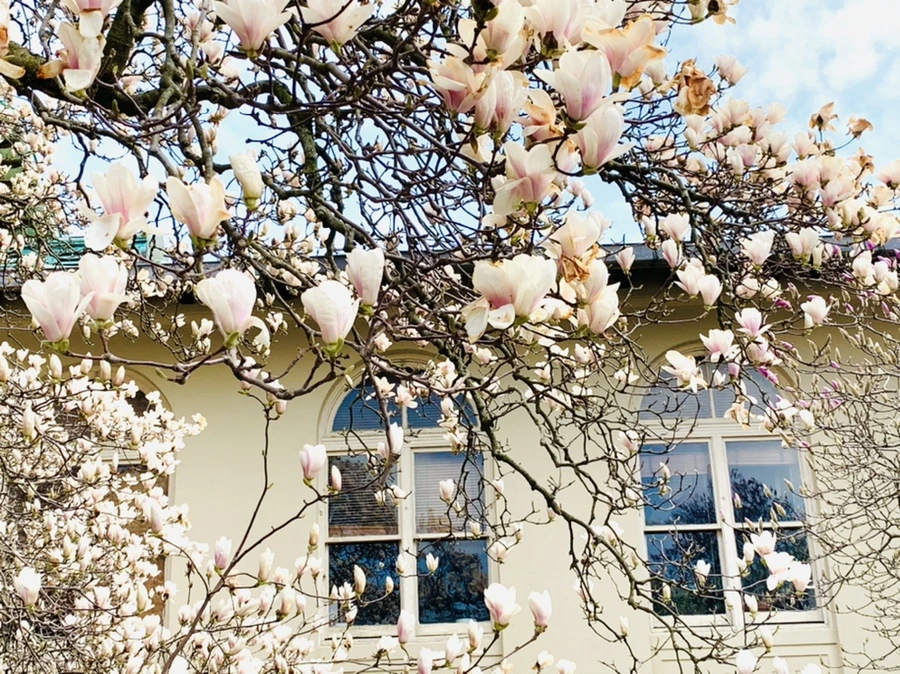 IMG_7202.jpg?type=w966