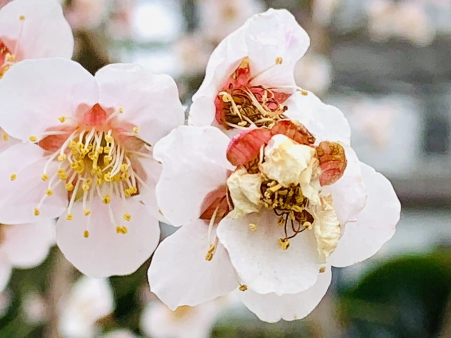 IMG_3558.jpg?type=w966