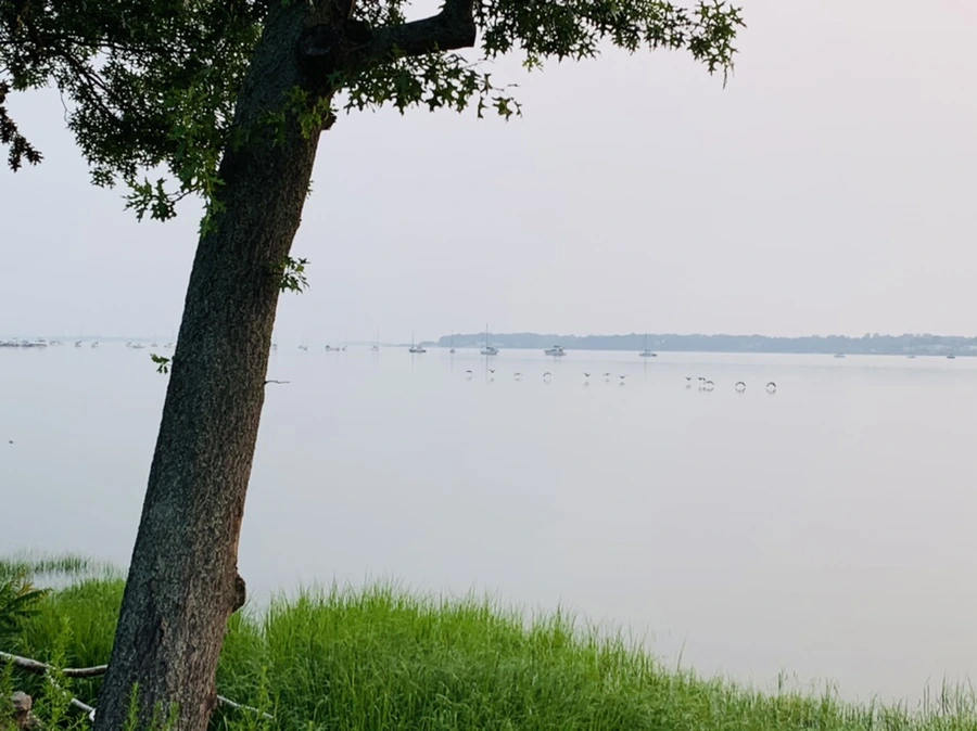 IMG_8178.jpg?type=w966