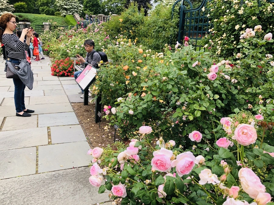 IMG_5697.jpg?type=w966