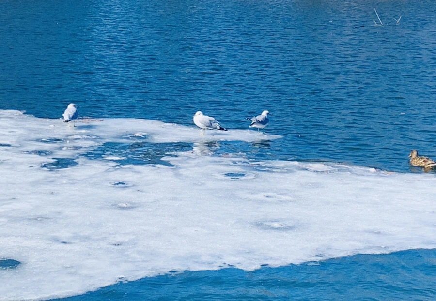 IMG_6770.jpg?type=w966