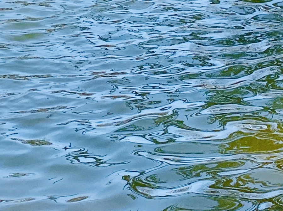 IMG_9879.jpg?type=w966