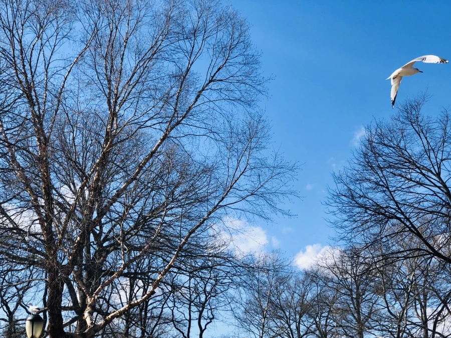 IMG_0207.jpg?type=w966