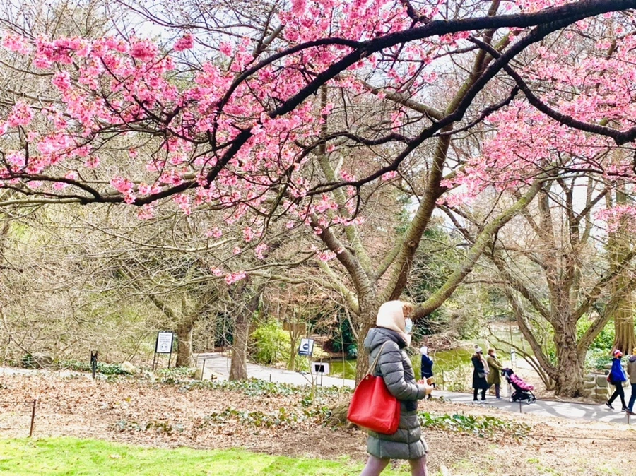 IMG_6431.jpg?type=w966