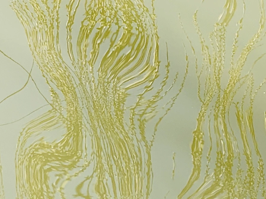 IMG_4430.jpg?type=w966