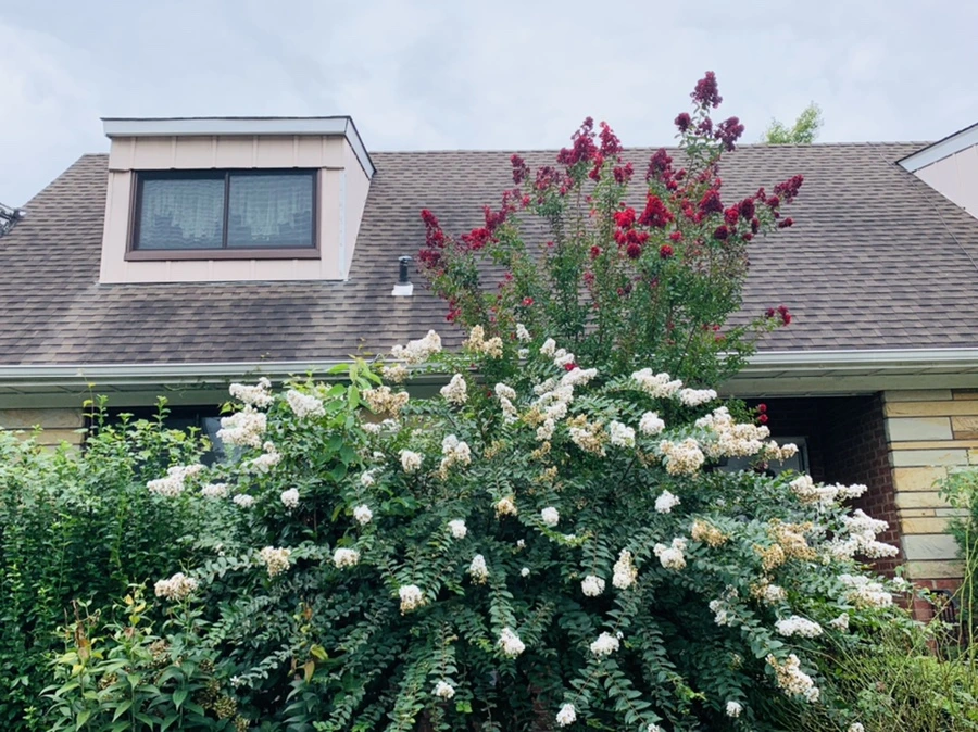 IMG_5935.jpg?type=w966