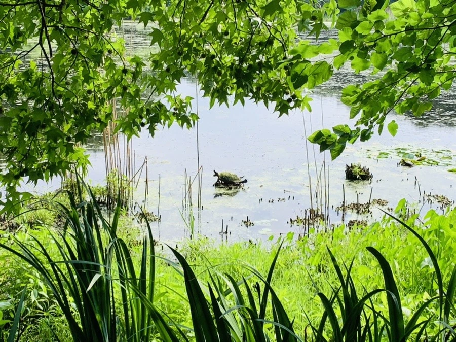 cjcDvWHOtO0O4eTdJy0BPr9KQpM